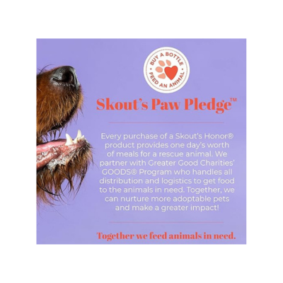 SKOUT'S HONOR: Probiotic Pet Shampoo & Conditioner - 2-in-1 with Avocado Oil - Cleans and Conditions Fur, Supports Pet’s Natural Defenses, PH-Balanced, Sulfate-Free - Lavender - 16 oz.