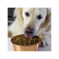 Open Farm Puppy Recipe Grain-Free Dry Dog Food, 4.5-lb