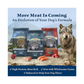 Blue Buffalo Wilderness Rocky Mountain Recipe High Protein, Natural Puppy Dry Dog Food, Red Meat 22-lb