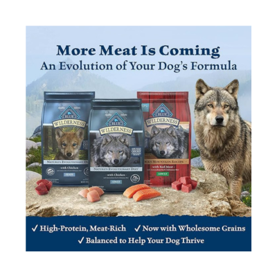 Blue Buffalo Wilderness Rocky Mountain Recipe High Protein, Natural Puppy Dry Dog Food, Red Meat 22-lb