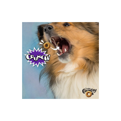 Fromm Crunchy Os Smokin' CheesePlosions Dog Treats - Premium Crunchy Dog Treats - Pork Recipe - 26 oz