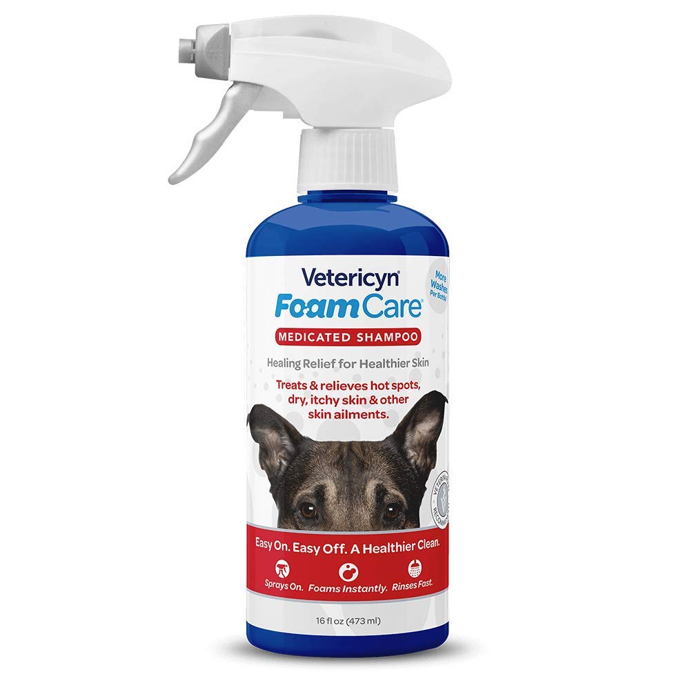FoamCare Medicated Pet Shampoo by Vetericyn | Sensitive Skin Shampoo for Dogs, Cats, and All Animals - Anti-Itch, Promotes Healthy Skin and Coat - Hypoallergenic – Instant Foam Shampoo – 16-ounce