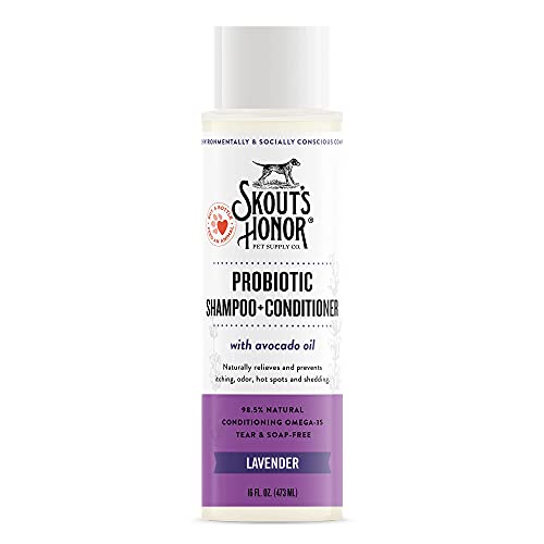 SKOUT'S HONOR: Probiotic Pet Shampoo & Conditioner - 2-in-1 with Avocado Oil - Cleans and Conditions Fur, Supports Pet’s Natural Defenses, PH-Balanced, Sulfate Free - Lavender 16 oz.