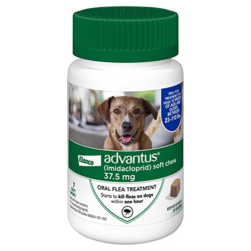 Advantus (Imidacloprid) Chewable Flea Treatment for Large Dogs, 23-110 Pound