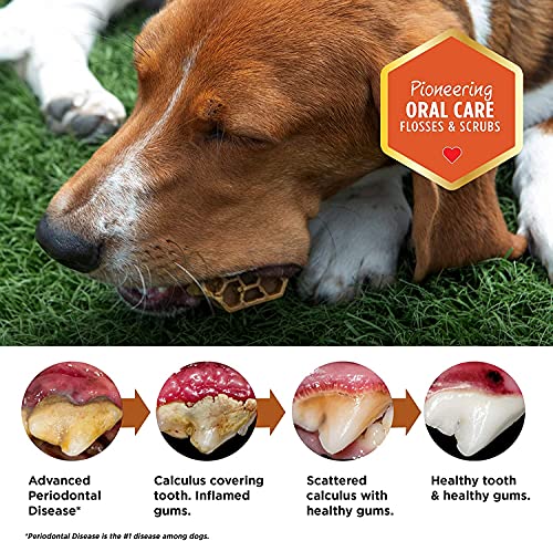 Yummy Combs Oral Care Dog Dental Treats | Fresh Breath - Flossing Dental Chews | High Protein & Natural Dog Dental Treats | Daily Dental Chew