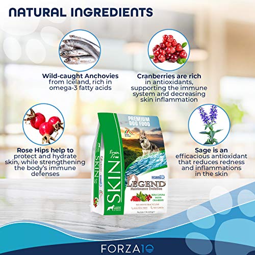 Forza10 Legend Sensitive Skin Dog Food, Grain Free Dry Dog Food with Curative Herbs, Premium Quality Wild Caught Anchovy Flavor, for Adult Dogs, Pack of 1
