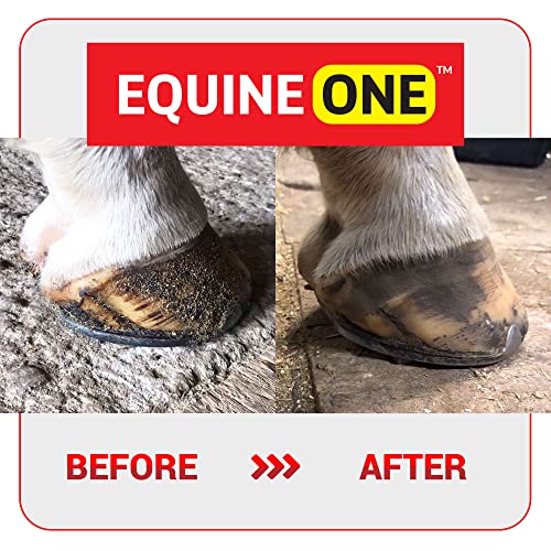 Equine One Natural Hoof Dressing - 100% All-Natural Hoof Care Product - Abscesses || Thrush || White Line || Quarter Crack, 35 Day Supply, 16 fl.oz