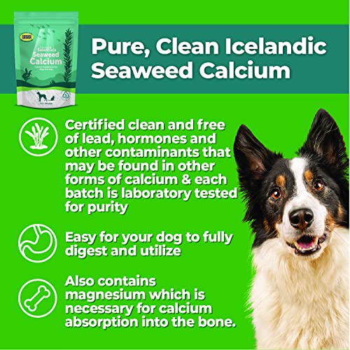 Animal Essentials Seaweed Calcium Supplement for Dogs & Cats, 12 oz - Iceland Seaweed Magnesium, Boron, Zinc
