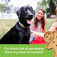 Buddy Biscuits, Soft & Chewy Treats for Small & Large Dogs, Made in USA Only, Training or Snack Size (Packaging May Vary)