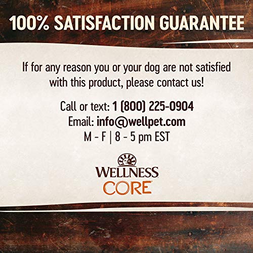 Wellness CORE Mini Meals Grain Free Wet Dog Food, Chunky, Pate, Shredded Meat in Gravy, Complete & Balanced, Dog Food Topper, Mixer or Complete Meal, Easy to Open Pouch