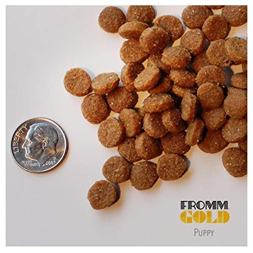 Fromm Puppy Gold Dry Dog Food, 5-Pound Bag