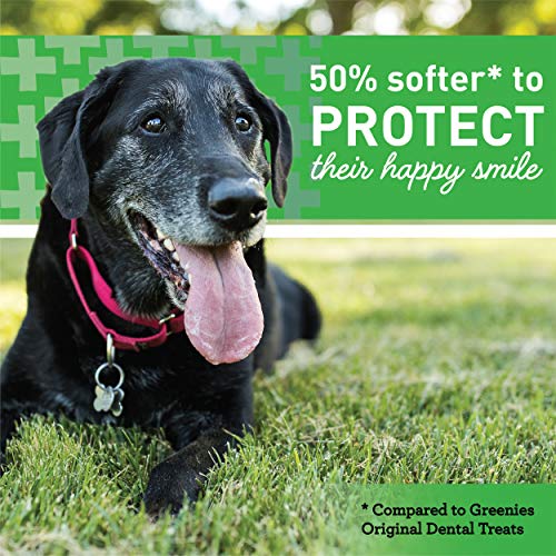Greenies Senior Aging Care Natural Dental Dog Treats, 27 oz. Pack