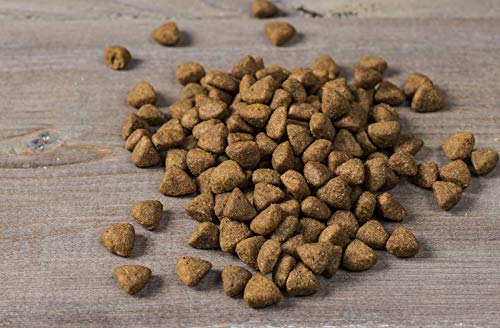 Nulo Frontrunner Dry Puppy Food - Premium Dry Kibble with Antioxidants and Probiotics for Digestive and Immune Health - for Small and Large Breed Dogs
