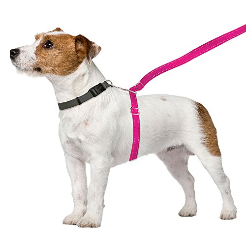 ThunderLeash No-Pull Dog Leash - Available in Blue & Pink Color