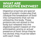 Animal Essentials Plant Enzyme & Probiotics Digestive Supplement for Dogs & Cats (Various Sizes) - Digestion Support