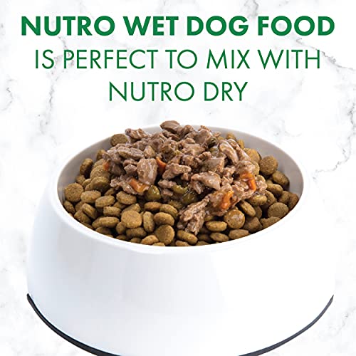 NUTRO Adult High Protein Natural Grain Free Wet Dog Food Cuts in Gravy