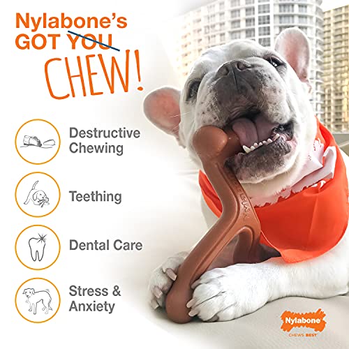 Nylabone Power Chew XL Dog Chew Toys for Aggressive Chewers