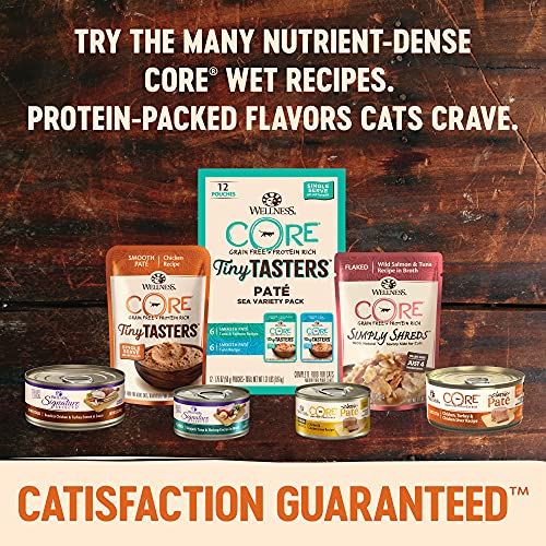 Wellness CORE Tiny Tasters Wet Cat Food, Complete & Balanced Natural Pet Food, Made with Real Meat, 1.75-Ounce Pouch, 12 Pack (Flaked, Minced in Gravy & Pate)