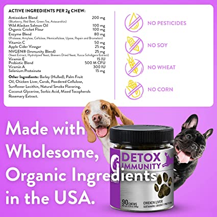 Green Gruff Dog Probiotics & Digestive Enzymes - Organic Dog Immune Supplement with Protein, Multivitamin & Omega 3 Fish Oil for Dogs - Made in USA - Dog Allergy Relief - Canine Probiotic - 90 Chews