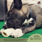 Redbarn Filled Dog Bones | Natural Long-Lasting Dental Treats; Suitable for Aggressive Chewers | Large (6") - 10 Bones (Peanut Butter)